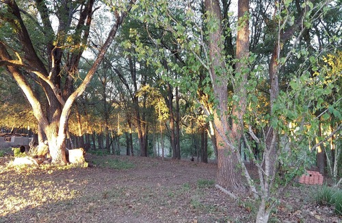 Marble Falls House | Peaceful, quiet, close to Hidden Falls and charming downtown.