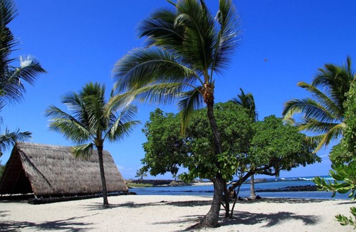 Keauhou House | Perfect Choice For Your Next Hawaiian Getaway! 2 Pools, Game Room, Watersports!