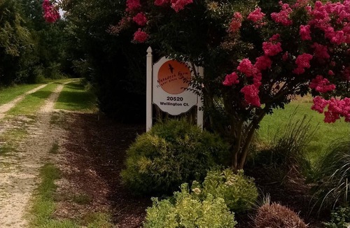 Coltons Point House | Perfect location rental for quiet vacation get away or writer's paradise.