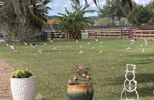 Fellowship Apartment | Pet friendly Large Apt on Horse Farm w/level 2 EV Charger.