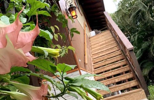 Kehena House | Phoenix Garden