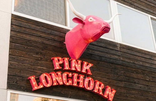 Central East Austin Apartment | Pink Longhorn Glam Getaway Near UT Downtown