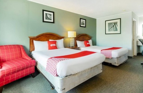 Jennings Hotel | Practical King Room Great for Pet Owners Close to Jennings Dining