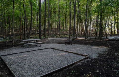Vernon RV Rental | Primitive Camping Site