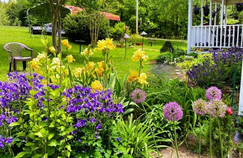Hurdle Mills House | Private, artistic 3-bedroom house on 32 lush acres in RDU minutes to Duke/UNC
