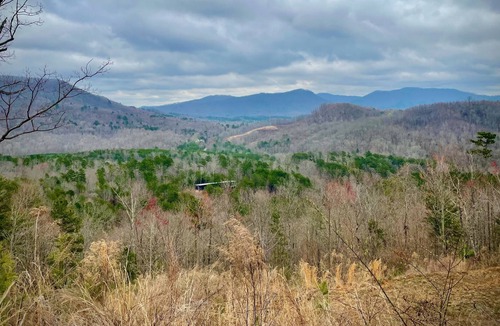 Vein Mountain Cabin | Private Cabin in the Woods - Relax by the Creek!