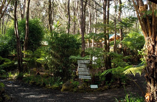 Volcano Bed & Breakfast | Rainforest Retreat in Volcano Village