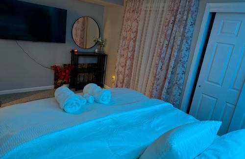 Coliseum Central Apartment | Raqsea Condo