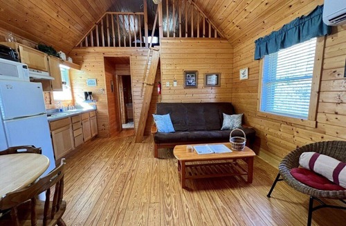 Laurel Springs Cabin | Ravine- Firepit, Pet Friendly, Cozy Cabin, WIFI, Pond, Gas Fireplace, off Blue Ridge Parkway