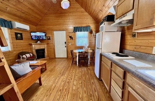 Laurel Springs Cabin | Ravine- Firepit, Pet Friendly, Cozy Cabin, WIFI, Pond, Gas Fireplace, off Blue Ridge Parkway