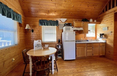 Laurel Springs Cabin | Ravine- Firepit, Pet Friendly, Cozy Cabin, WIFI, Pond, Gas Fireplace, off Blue Ridge Parkway