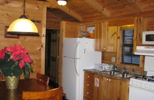 Altamont Cabin | Real Logs-1BR, queen & futon-sleeps 4. Riverside