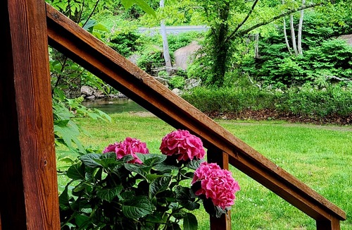 Burnsville Cabin | Refurbished Farmhouse on River w/Swimming & Fishing*