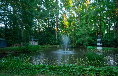 Allen Cottage | Remodel Cottage with Pond on Three Acres