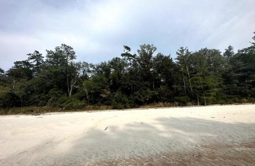 Citronelle Other | Riverside Retreat: Camp Under Stars & Water's Edge