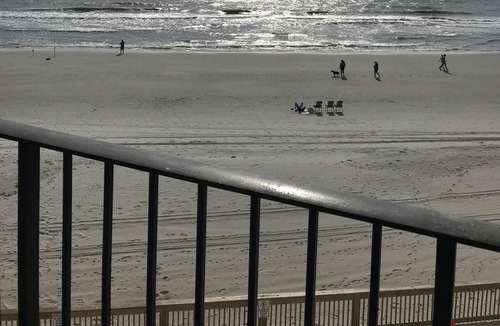 Garden City Condo | Royal Gardens Oceanfront Unit 301