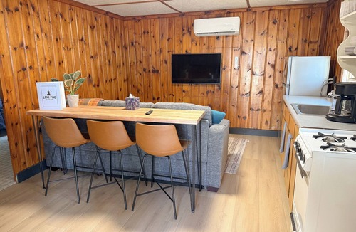 Mason County Cabin | Rustic 6-cabin resort on Long Lake with a beach and waterslide