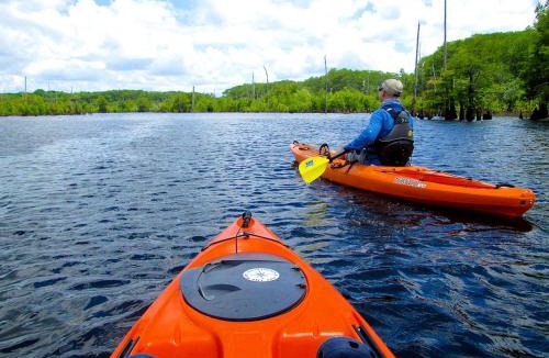 Wewahitchka House | Rustic Lakefront Glamping Under the Stars with River Accesss & Kayaking in Wewahitchka, Florida