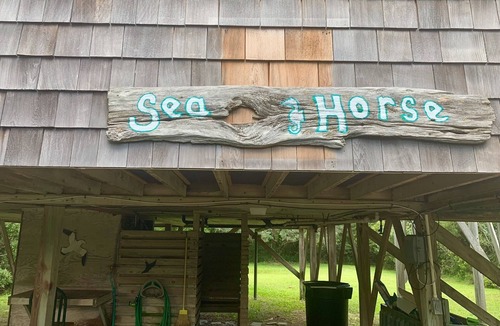 Salvo House | SEA HORSE A Charming Beach Cottage