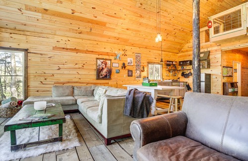 Brevard Cabin | Secluded Brevard Cabin w/Private Waterfall!
