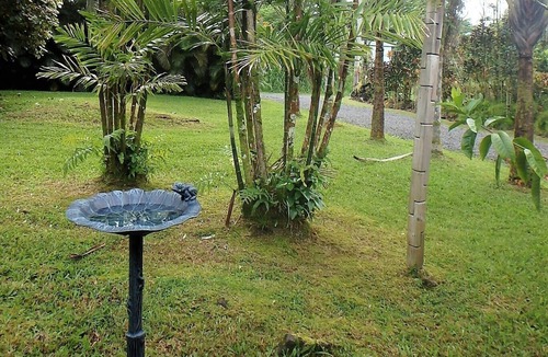 Kapoho House | Secluded Quiet Home Near Pahoa. Easy Day Trips to Hilo & Volcano National Park