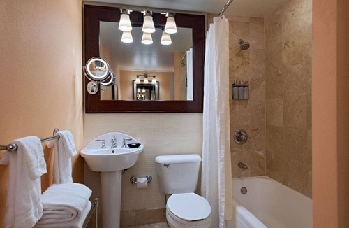Downtown Austin Hotel | See Iconic Attractions! Elegant Suites Near Theatre and Park! Pets Allowed Here!