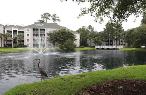 Myrtle Beach Condo | Sheraton Broadway Resort Villas, Full Condo with Kitchen!