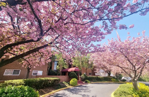 Elkins Park Apartment | Spacious 2BR/2BA | Monthly Discount