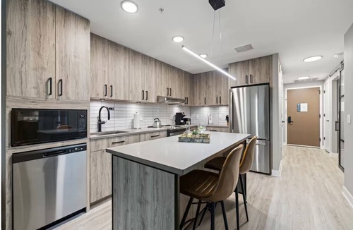 Navy Yard Apartment | Spacious Haven | Kitchen & Desk | DC Stay w/Coworking & Gym | Near Iconic Spots