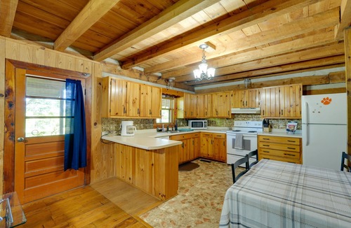 Greene County Cabin | Spacious Yard + Fire Pit: Afton Family Cabin!