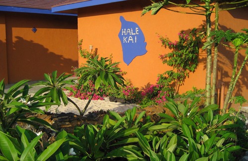 South Kona House | Spectacular Oceanfront! 20' from the Sea