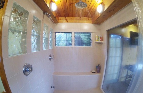 Pahoa House | Sprawling Mid-Century Hawaiian Home with Swimming Pool + Spa + AC!