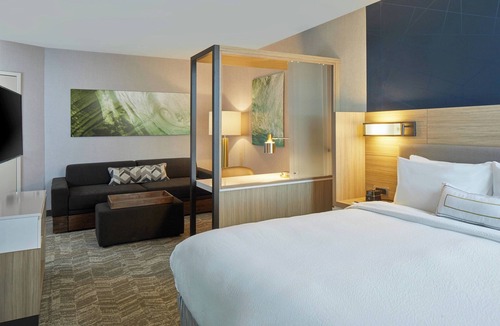 Paw Creek Hotel | SpringHill Suites by Marriott Charlotte at Carowinds