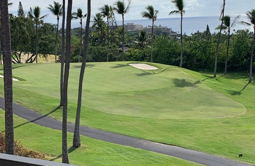 Keauhou Condo | Stunning 5 Star Ocean View Condo with all the Amenities!
