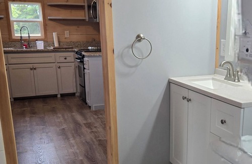 Georgia Coast House | Sunflower Cozy 1-bedroom TINY home in serene Danville
