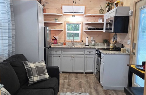 Georgia Coast House | Sunflower Cozy 1-bedroom TINY home in serene Danville