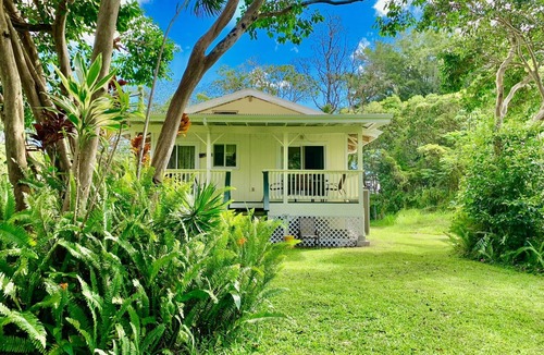 Keaau House | Sunset Suzy's tropical retreat! One free night! After 7 nights.