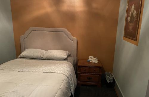 Wayne County Apartment | SYLHET SUITES