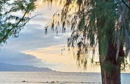 Kahului Other | Tent ∙ 1 bedroom ∙ 4 guests