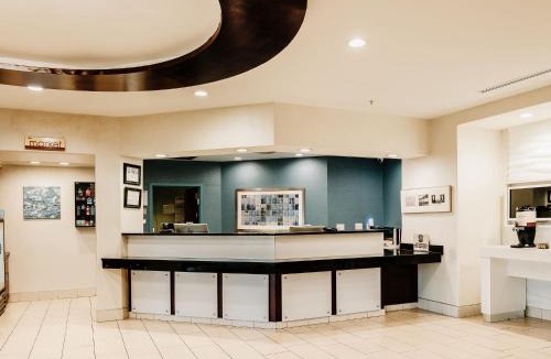 Paw Creek Hotel | The Beacon Charlotte Airport by IHG