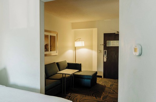 Paw Creek Hotel | The Beacon Charlotte Airport