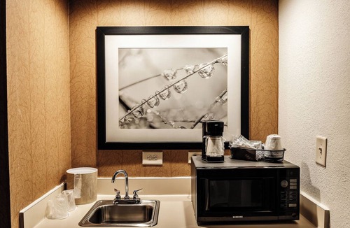 Paw Creek Hotel | The Beacon Charlotte Airport