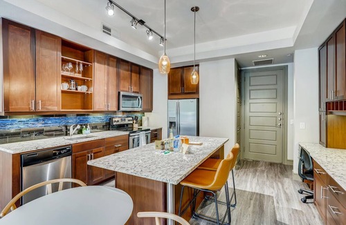North Burnet Apartment | The Bindel: Domain, 30+ Nights, Walkable + Pet's Welcome!
