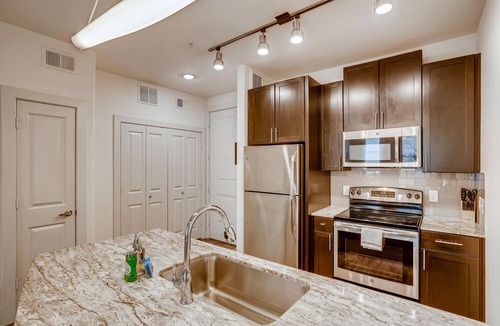 North Burnet Apartment | The Bindel: Domain, Pet Friendly, 30+ nights, Highly Walkable!