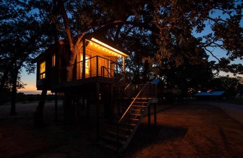 Elm Mott Other | The Chickadee Treehouse 15MIN to Magnolia Baylor