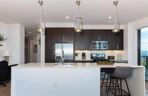 Texas Medical Center Apartment | The Modern Chic | TMC | RICE | Hermann Park | NRG