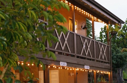 Ocean View House | The Surf Shack