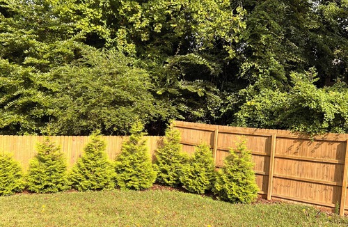 Johns Creek House | The Ultimate Family Retreat: 2BR2BA Home with Work-Friendly Features