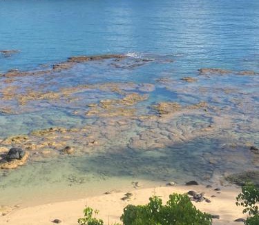 Kilauea House | This is it! Dreamy Beach, Stunning Views, Awesome Location