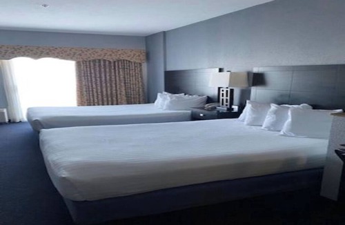 Houghton Lake Hotel | Three Units | Free Breakfast | Direct Pool & Jacuzzi Access | Nearby Lake & Park